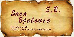 Saša Bjelović vizit kartica